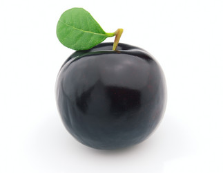 Similar image 382936