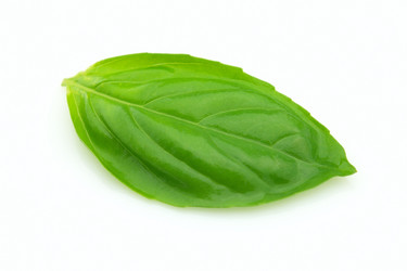 Similar image 382942