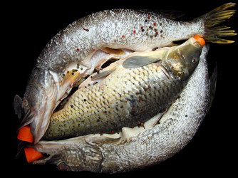 Similar image 382958