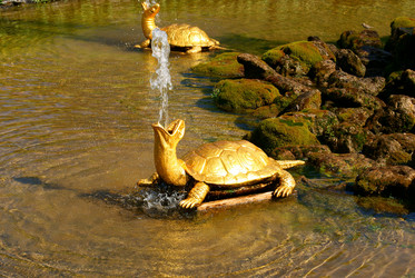 Similar image 383039