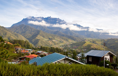 Similar image 383071