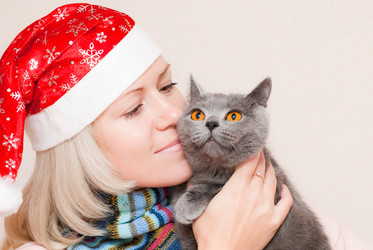 Similar image 383231