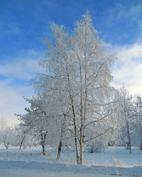 Similar image 383254