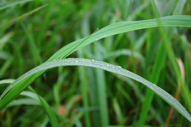 Similar image 383402