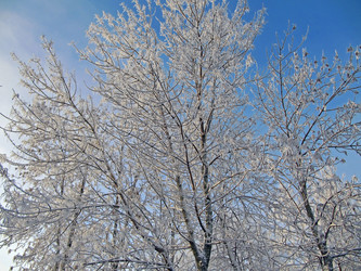 Similar image 383561