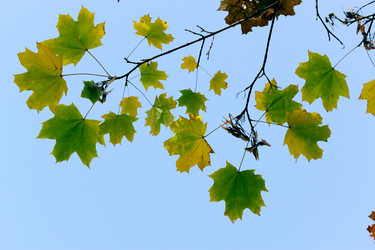 Similar image 383612