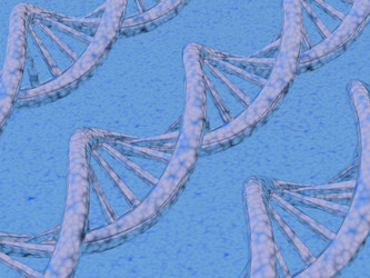 Similar image 383634