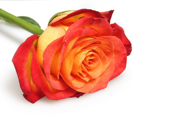 Similar image 383694