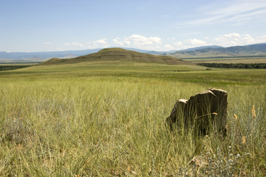 Similar image 383716