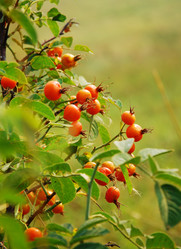 Similar image 383721