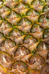 Similar image 383725