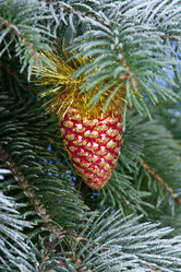 Similar image 383739