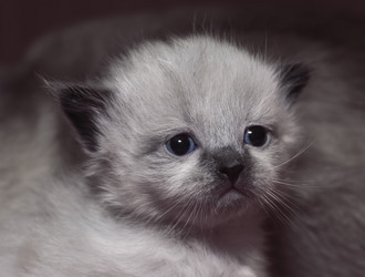 Similar image 383748