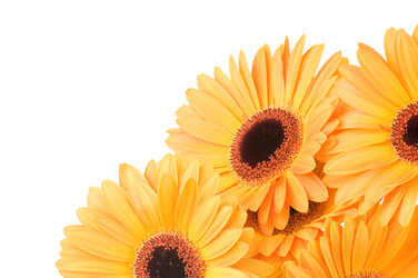 Similar image 383778