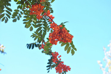 Similar image 383802