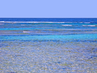 Similar image 383841