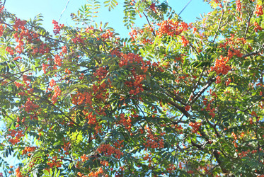 Similar image 383846