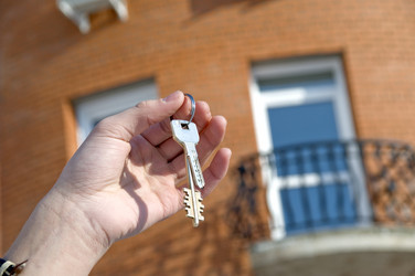 Similar image 383936