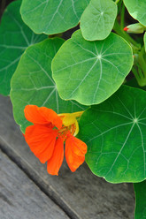 Similar image 384004