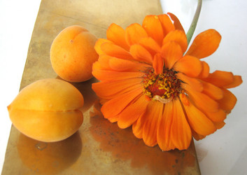 Similar image 384008