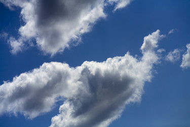 Similar image 384031