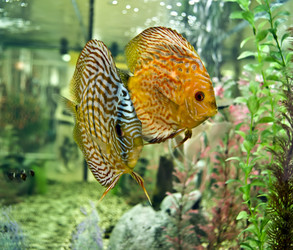 Similar image 384101