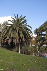 Similar image 384161