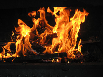 Similar image 384218