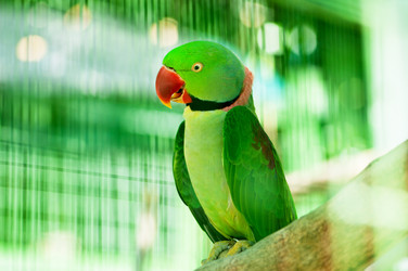 Similar image 384355