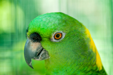 Similar image 384370