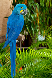 Similar image 384380