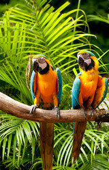 Similar image 384384