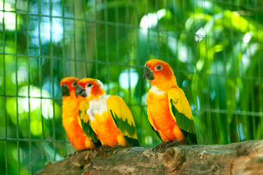 Similar image 384386