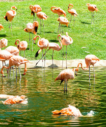 Similar image 384390