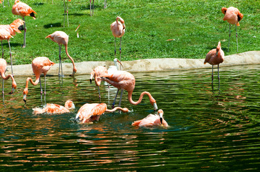 Similar image 384391