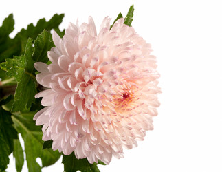 Similar image 384415