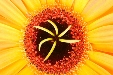 Similar image 384420