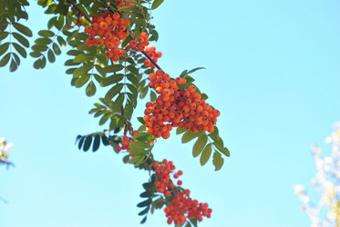 Similar image 384421