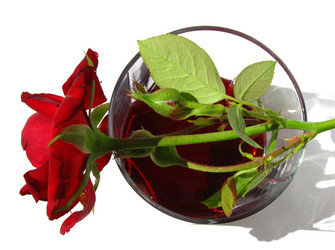 Similar image 384432