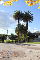 Similar image 384456