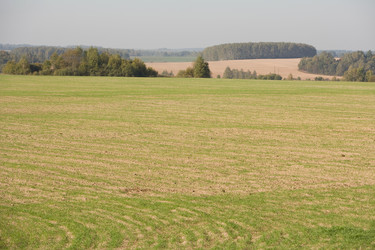 Similar image 384491