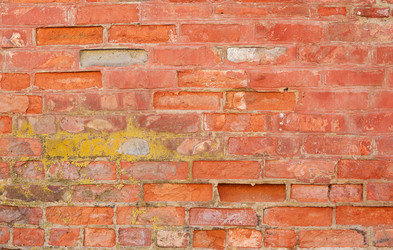 Similar image 384592