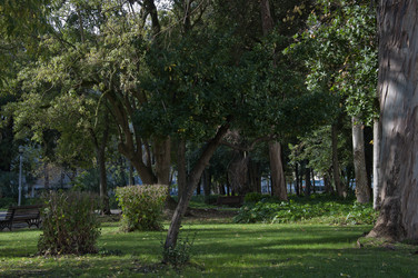 Similar image 384657