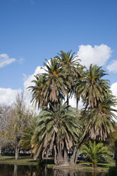 Similar image 384659