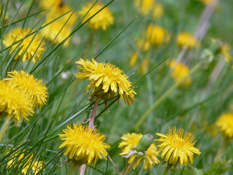 Similar image 384685