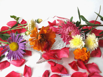 Similar image 384687