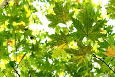 Similar image 384805