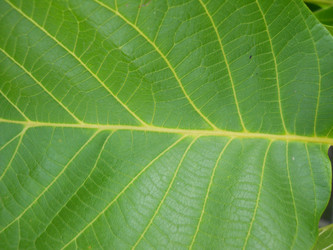 Similar image 384866