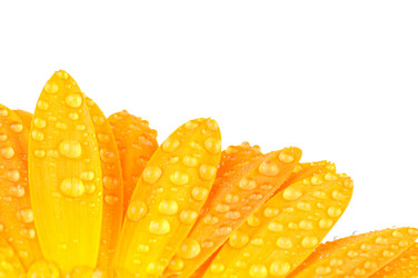 Similar image 384886