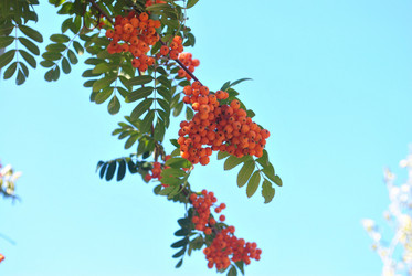 Similar image 384888